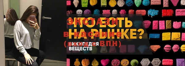 СК Алексин