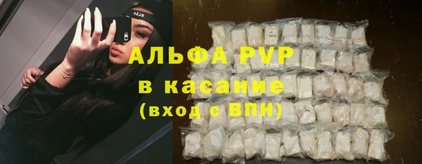 СК Алексин