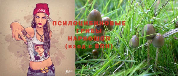 СК Алексин