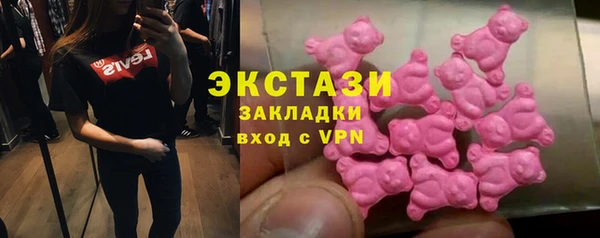 СК Алексин