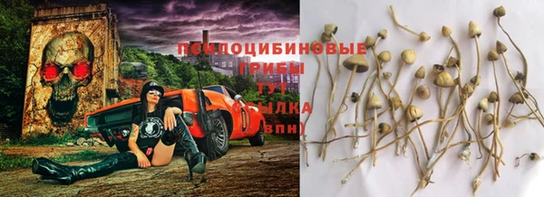СК Алексин